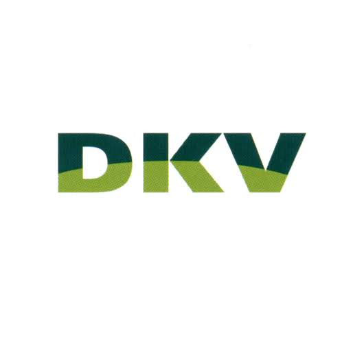 Logo des Unternehmens: DKV Schindler & Schindler GbR