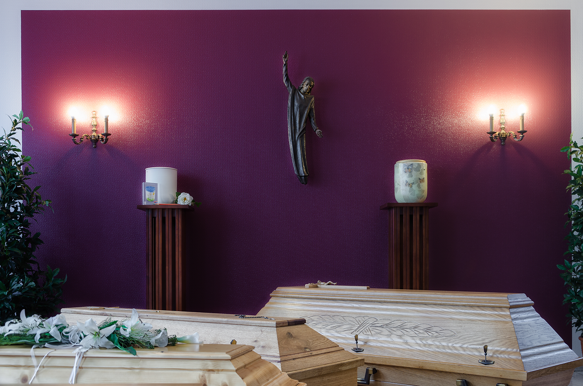 Gallery image 4