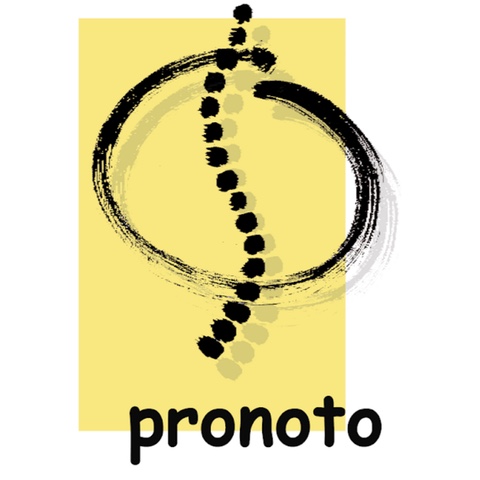 Logo des Unternehmens: Bernd Mayer Krankengymnastik Pronoto