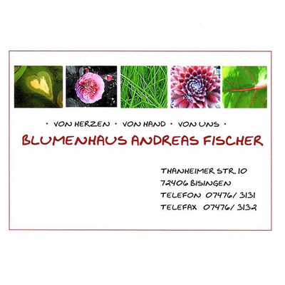 Logo des Unternehmens: Blumenhaus Fischer, Inh. Andreas Fischer