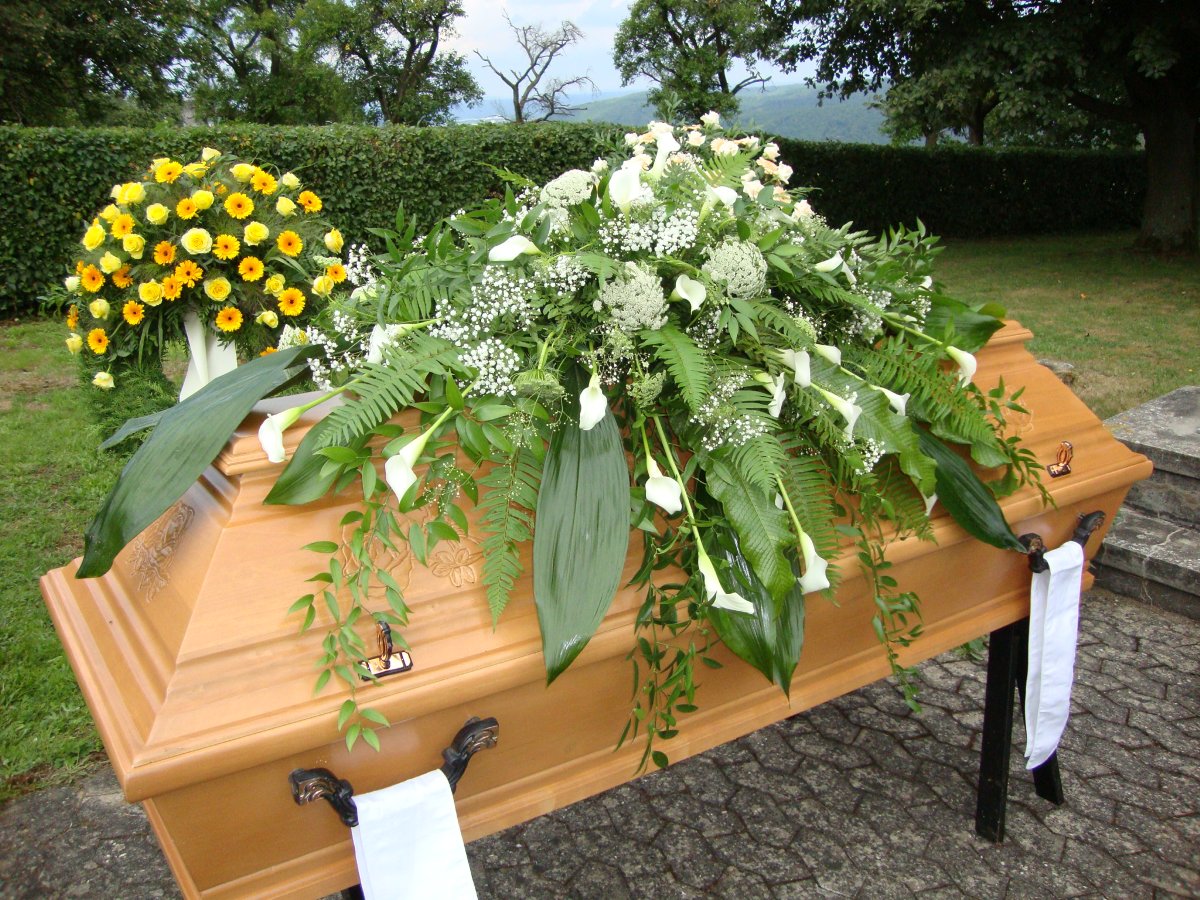 Gallery image 2