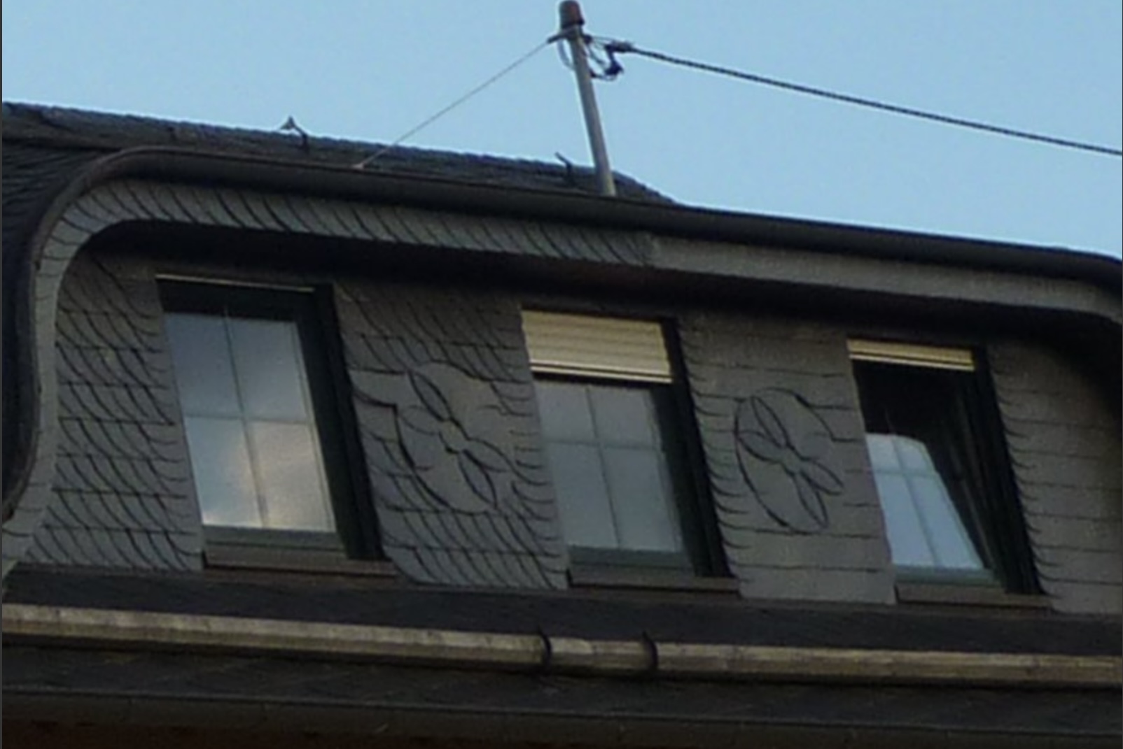 Gallery image 4