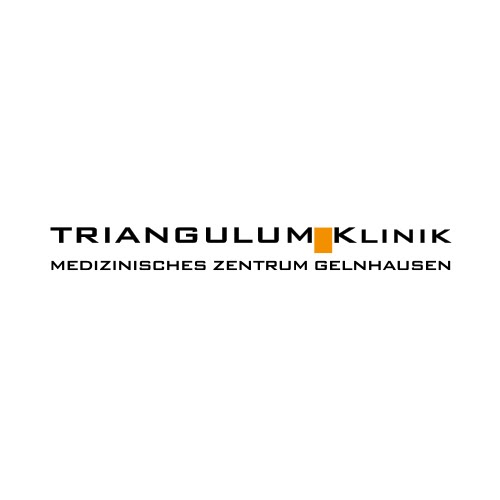 Logo des Unternehmens: Triangulum