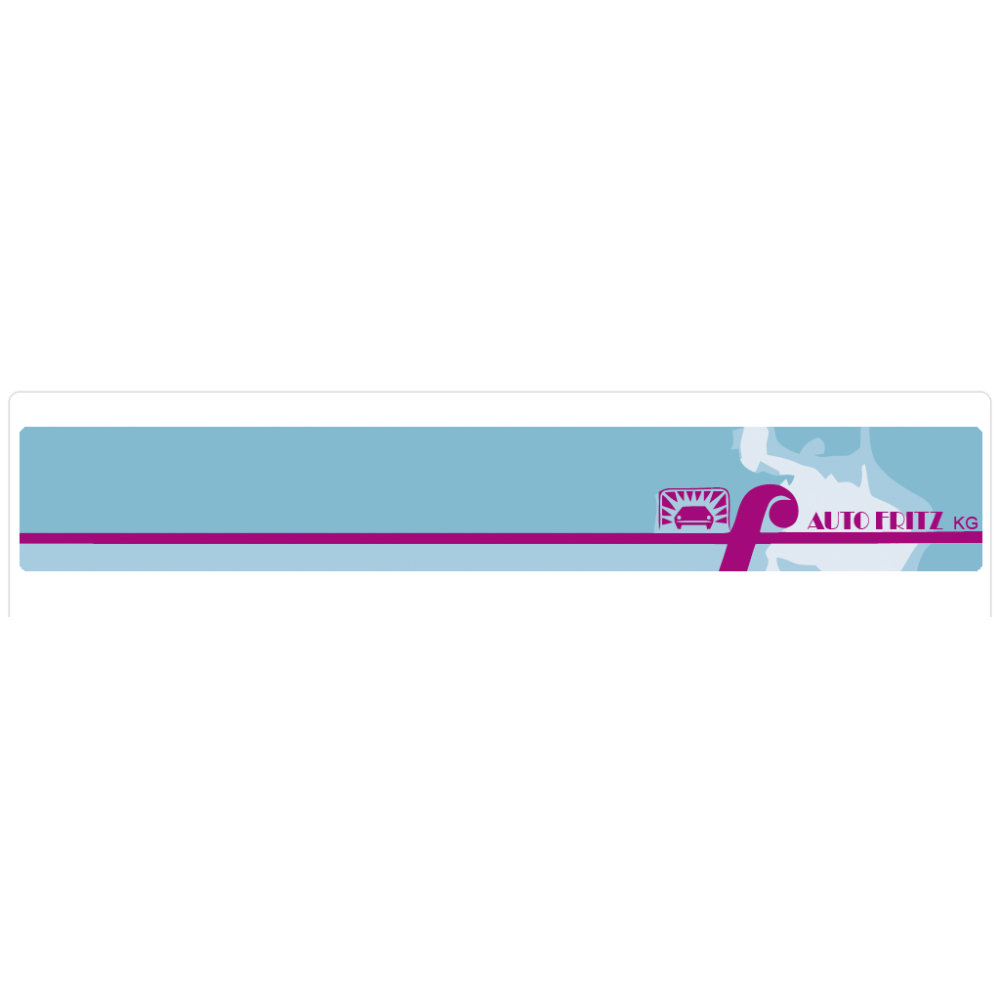 Auto Fritz GmbH & Co. KG