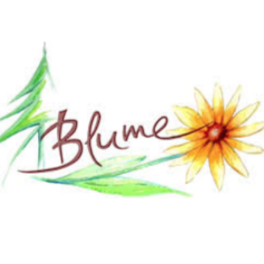 Hotel-Gasthof Blume Baiersbronn – Obertal