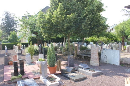 Gallery image 1