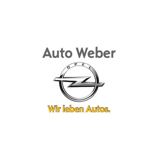 Logo des Unternehmens: Autovermietung Weber