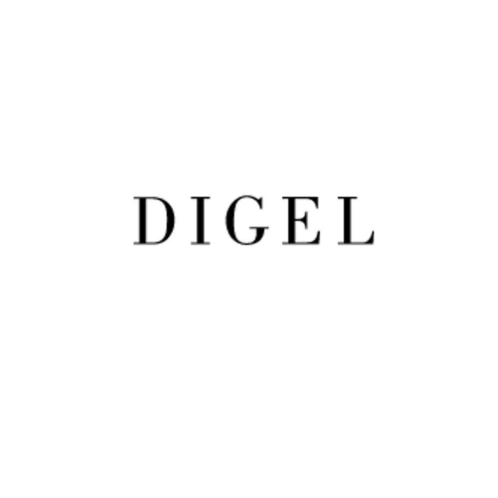 Logo des Unternehmens: Digel FOC GmbH