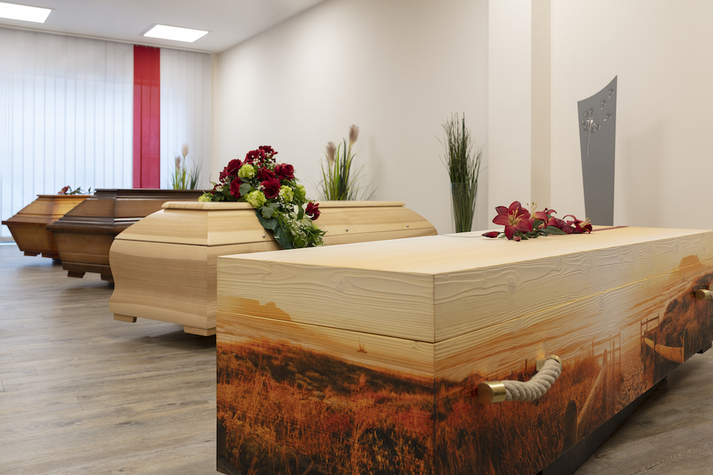 Gallery image 4