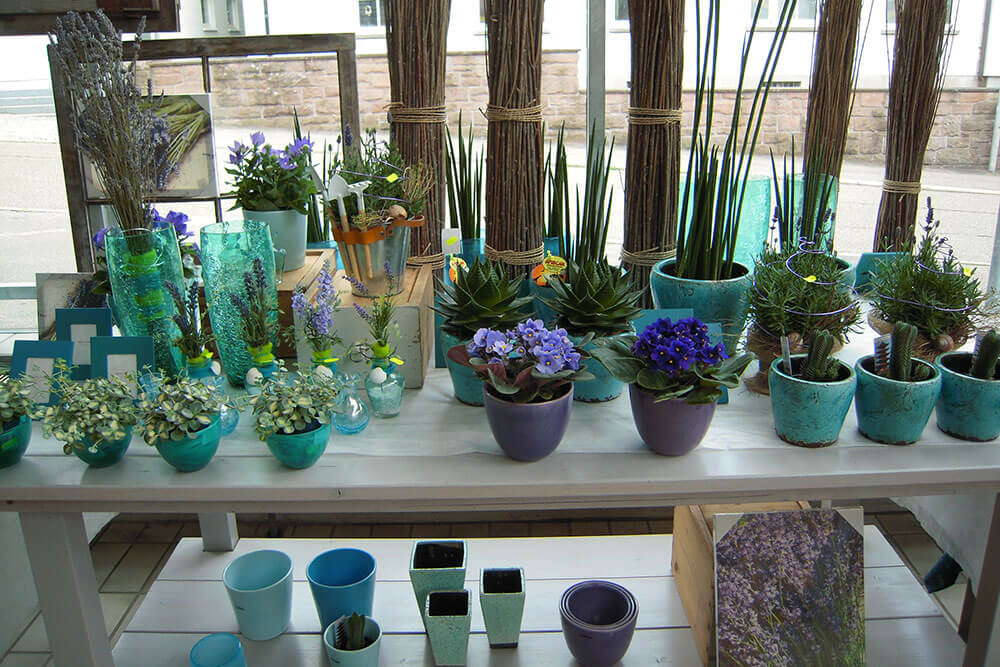 Gallery image 4