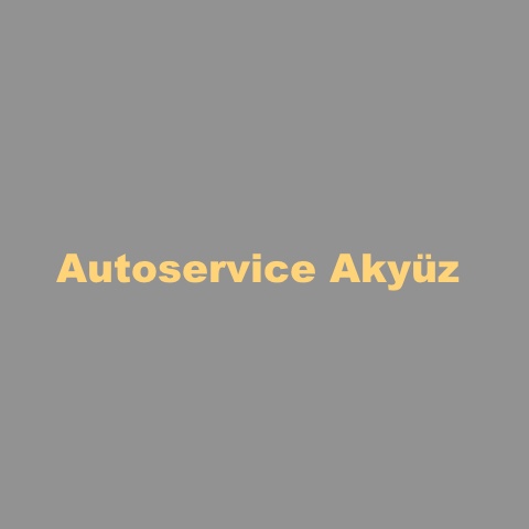 Logo des Unternehmens: 1a Autoservice Akyüz Meisterwerkstatt