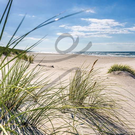 Logo des Unternehmens: Therapiezentrum im Rosengarten Carina & Wolfgang Bauer Physiotherapie & Osteopathie