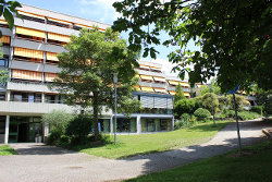 Gallery image 1
