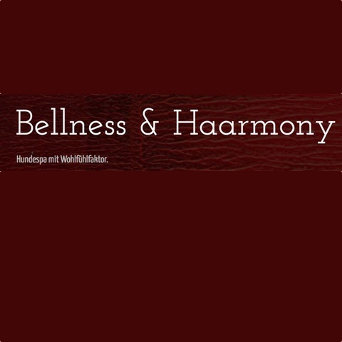 Logo des Unternehmens: Bellness & Haarmony Inh. Noah Gabriel Bares Hundesalon