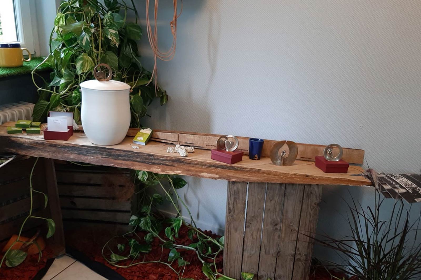 Gallery image 1