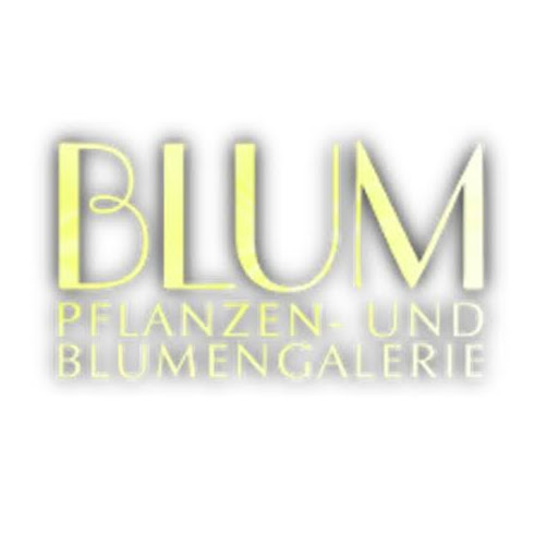 Blum Pflanzen U. Blumengalerie Inh. Sebastian Blum