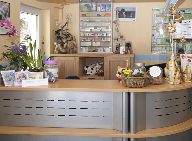 Gallery image 4