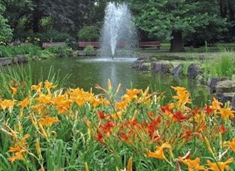 Gallery image 2