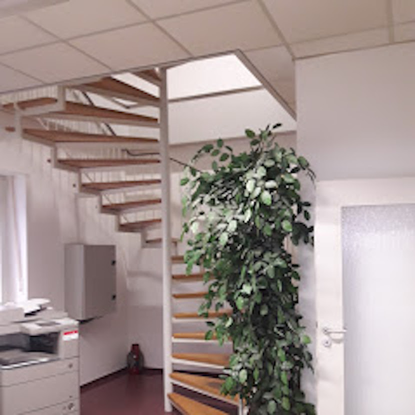 Gallery image 4