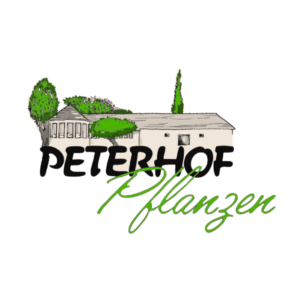 Pflanzen Vom Peterhof – Ralf Großheinrich