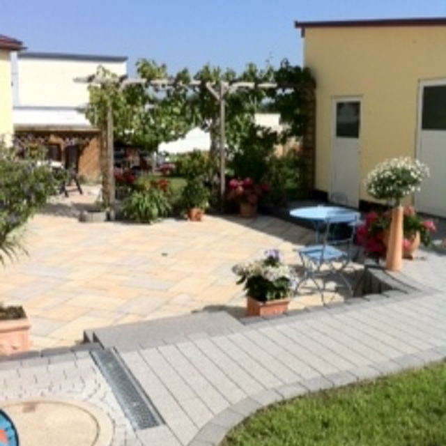 Gallery image 4