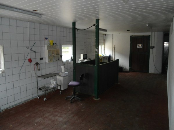 Gallery image 2