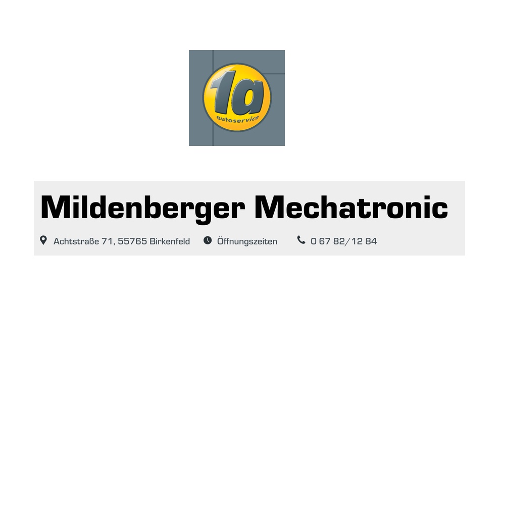 Mildenberger Mechatronic Gmbh 1A Autoservice