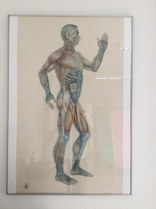 Gallery image 2