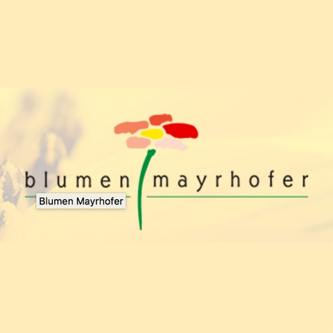 Blumen Mayrhofer
