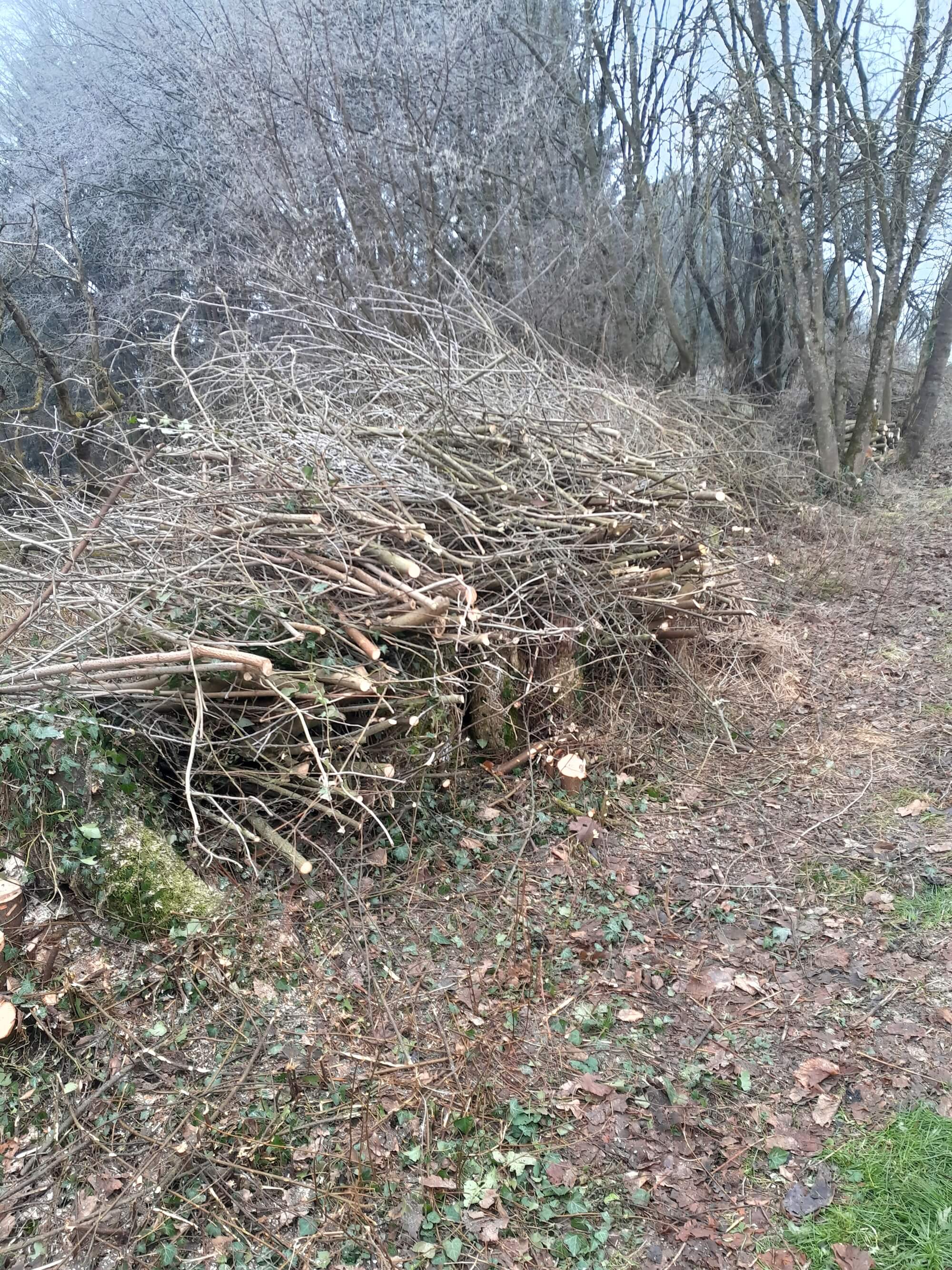 Gallery image 2