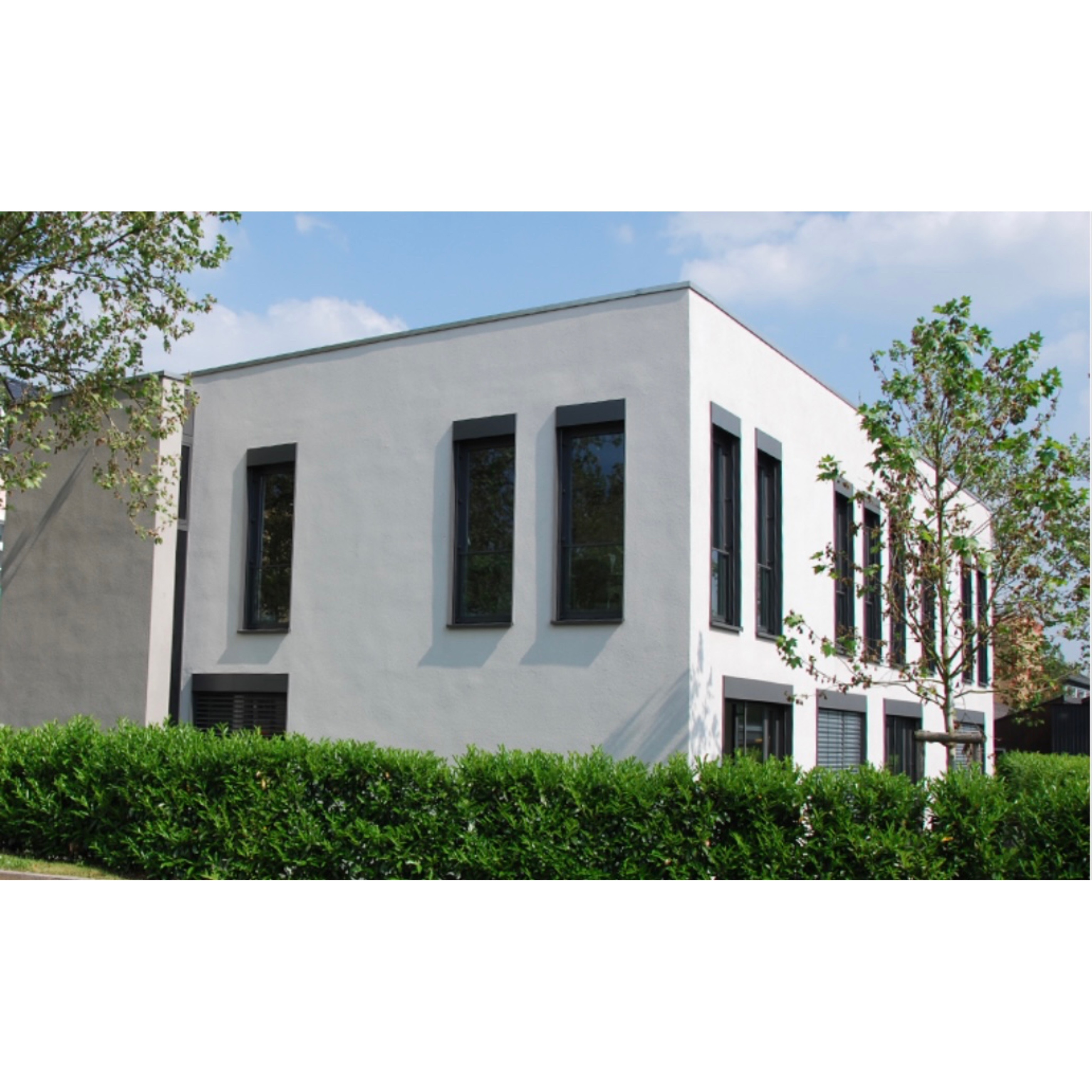 Gallery image 1