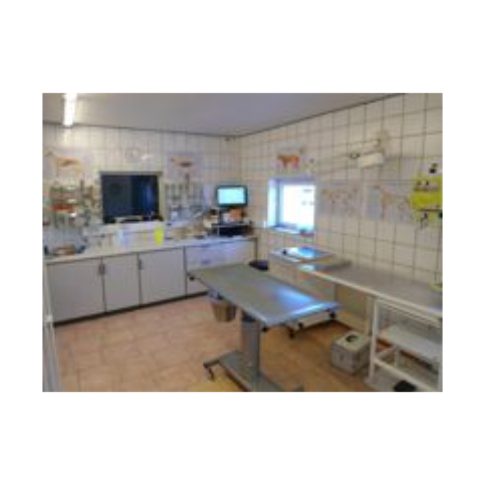 Gallery image 1