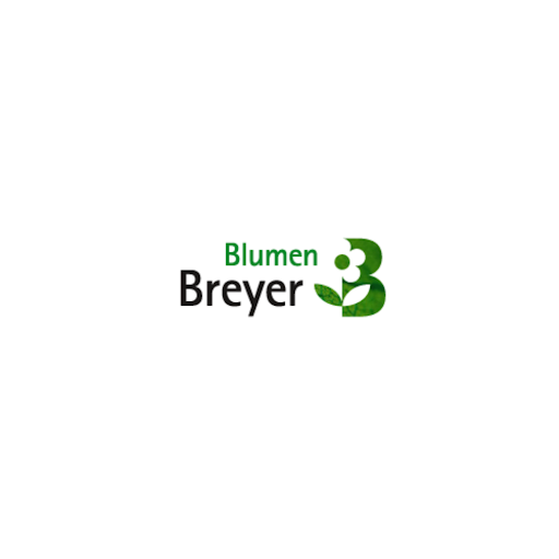 Logo des Unternehmens: Blumen-Breyer, Inh. Sigrid Kanthak e. K.