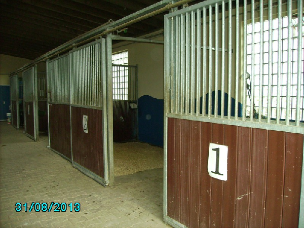 Gallery image 3