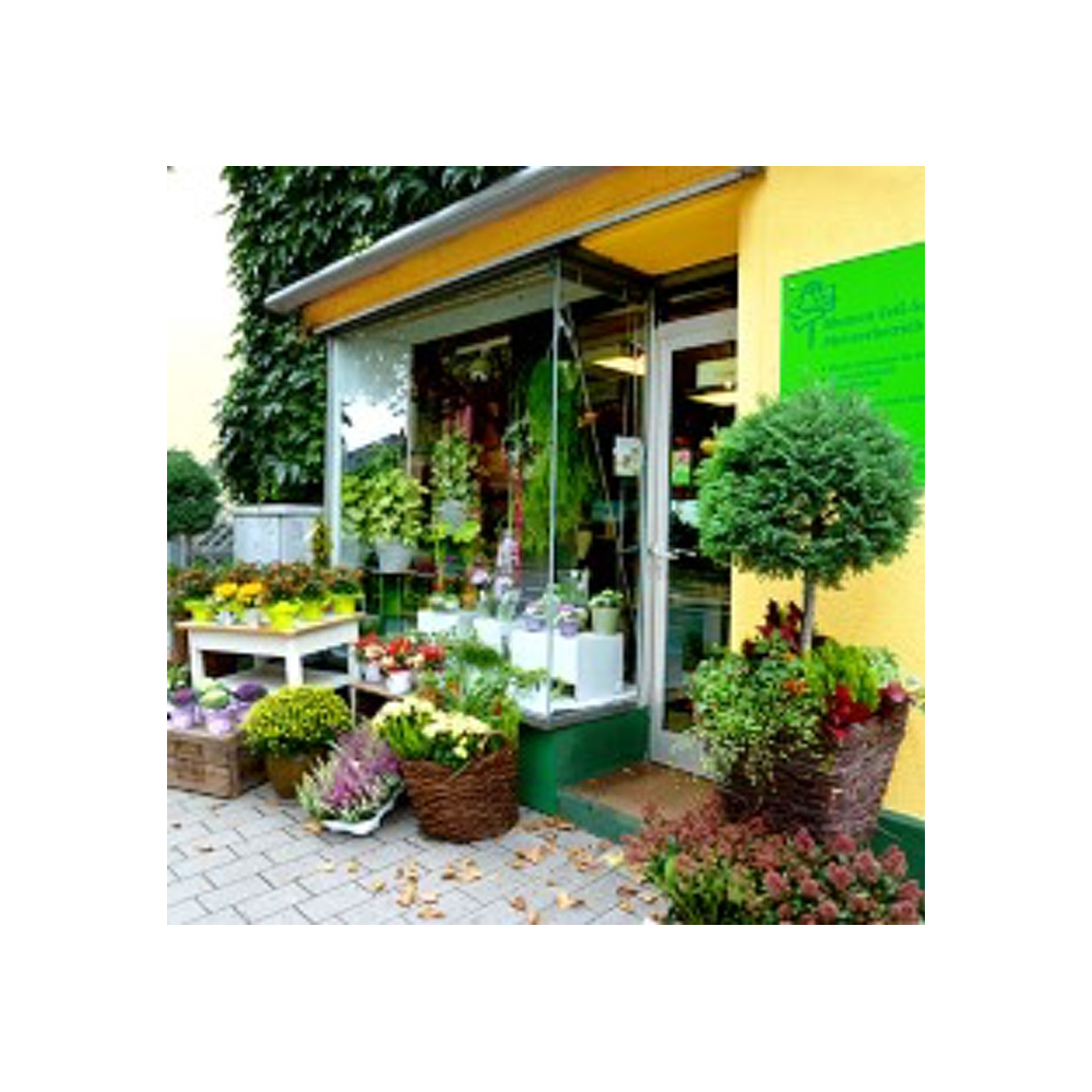 Blumenhaus Feß-Scherrer