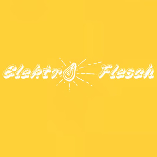 Flesch Hans Lothar