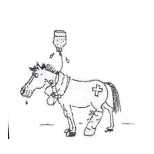 Logo des Unternehmens: Karl-Anton Breunig Tierärztliche Praxis für Pferde