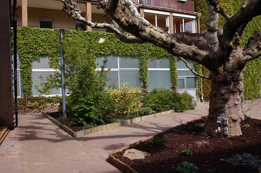 Gallery image 3