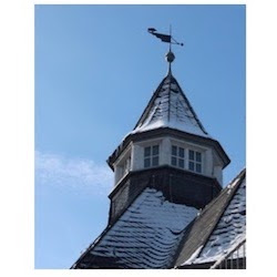 Logo des Unternehmens: Tierarztpraxis Waldschlösschen Tina Caspari und Sonja Schmitt