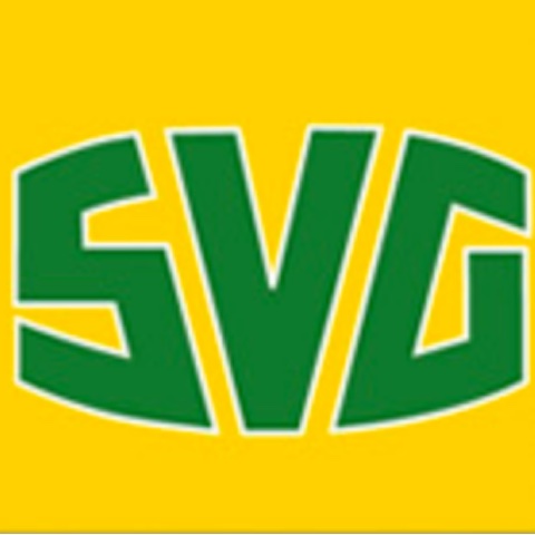 Straßenverkehrsgenossenschaft Svg Pfalz Eg