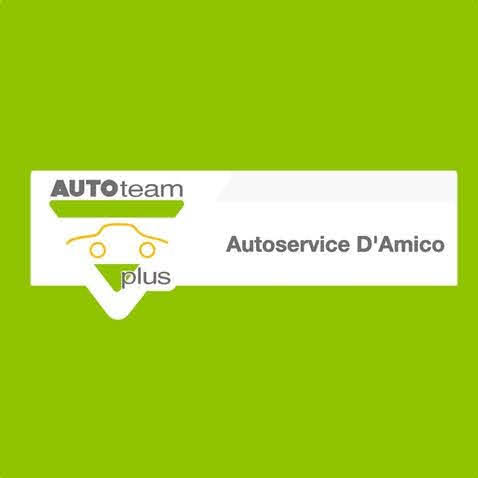 Auto-Service D’amico Inh. Scharbel Abdel Ahad