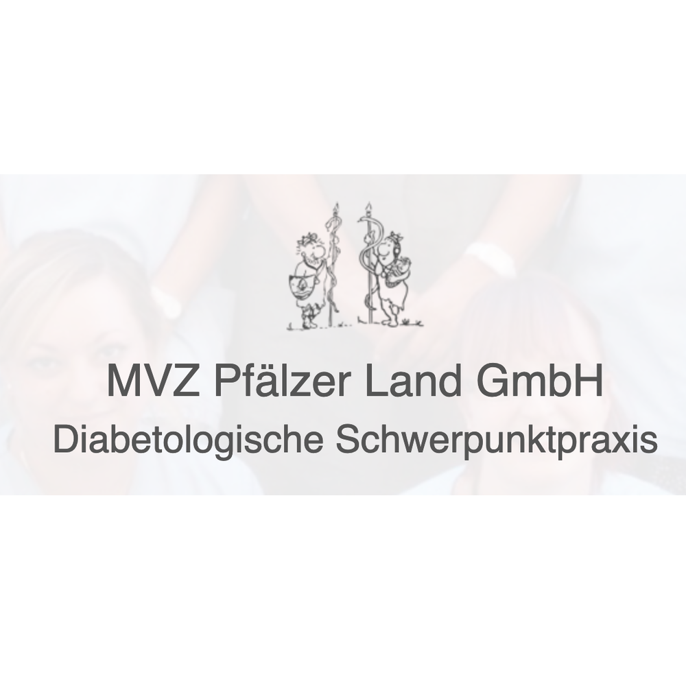Schneider Thomas Dr.med. Mvz Pfälzer Land Gmbh Diabetologische Schwerpunktpraxis-Allgemeinmedizin