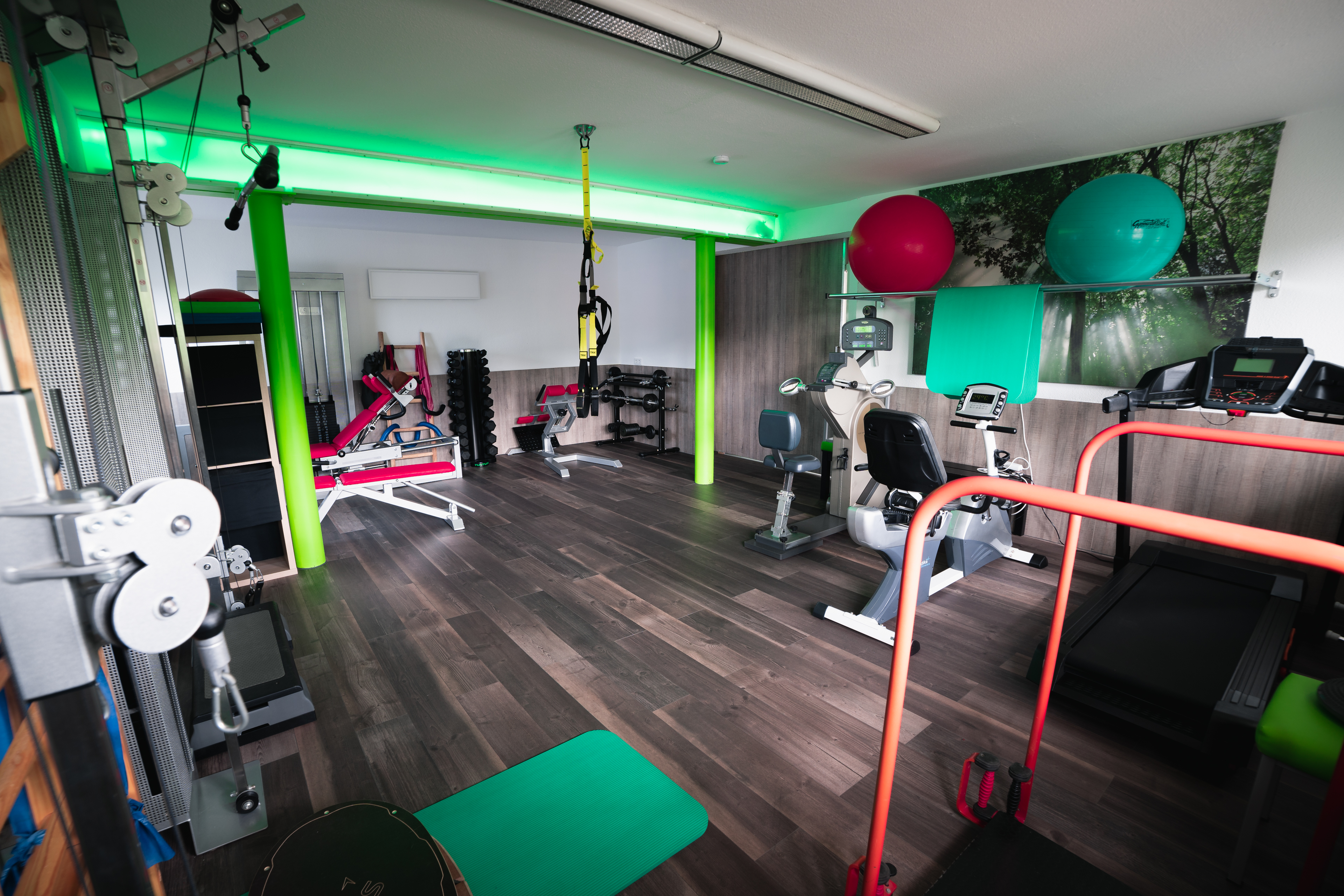 Gallery image 4