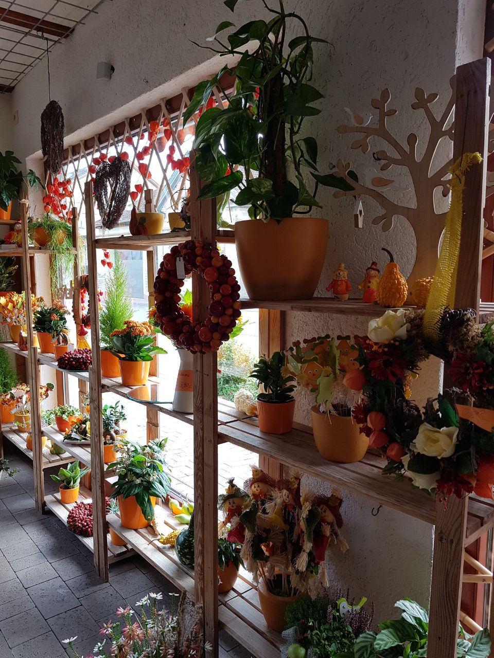 Gallery image 1