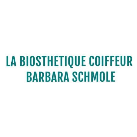 Logo des Unternehmens: La Biosthetique Coiffeur Schmole Barbara Friseur