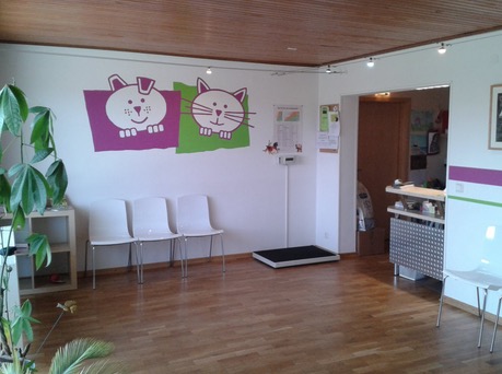 Gallery image 4