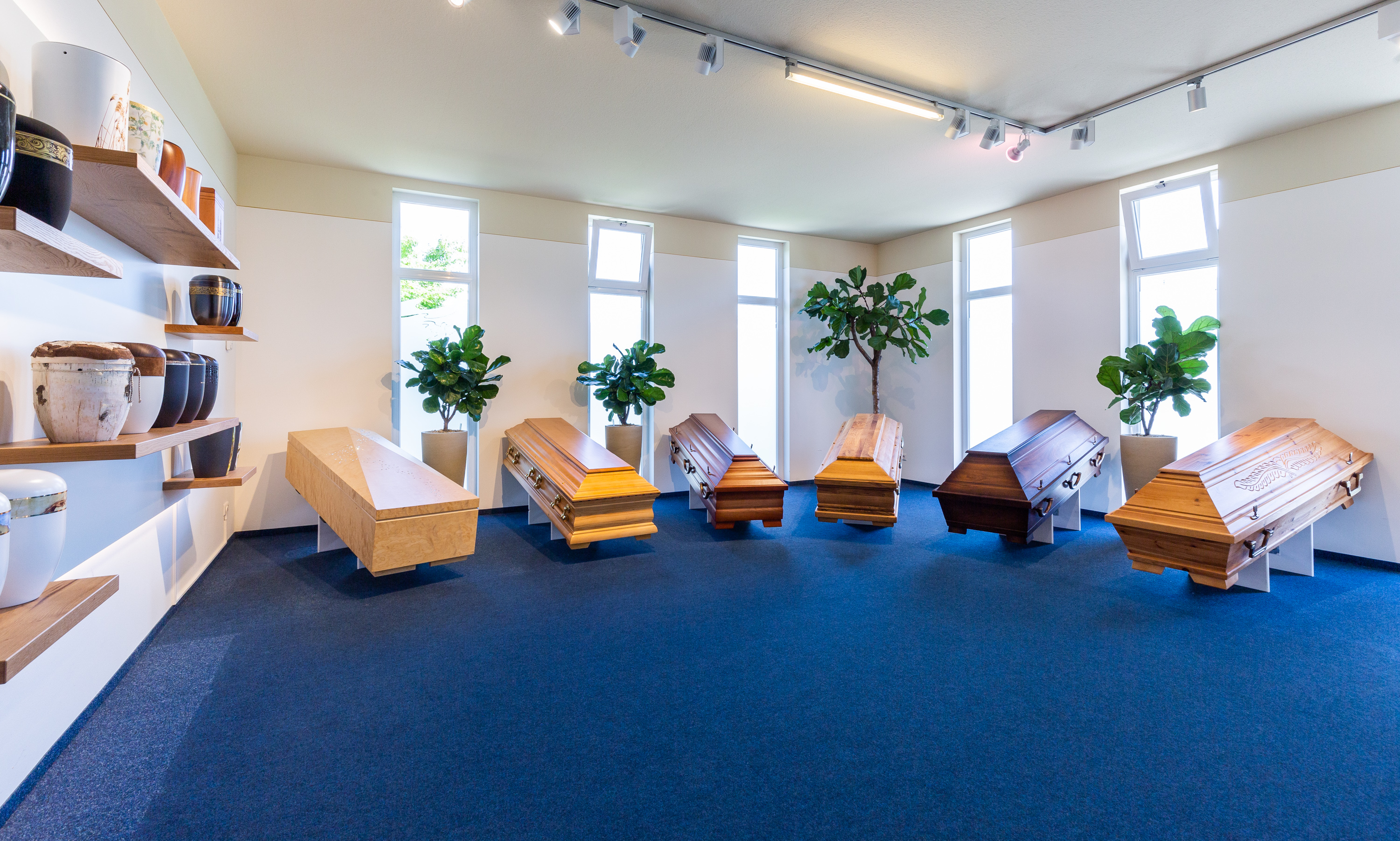 Gallery image 2