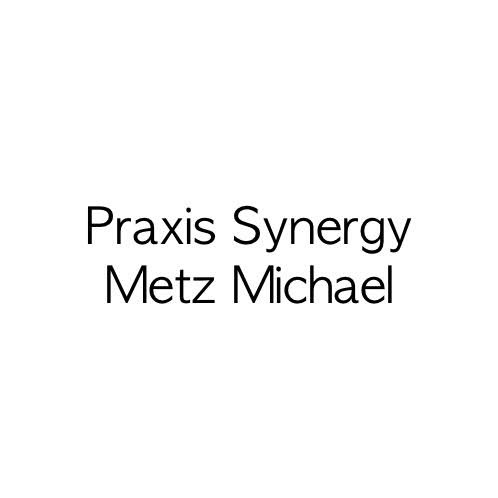 Logo des Unternehmens: Synergy Michael Metz Praxis für Osteopathie