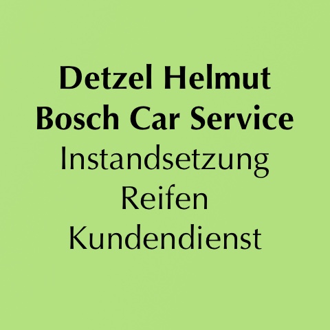 Helmut Detzel Bosch Car Service