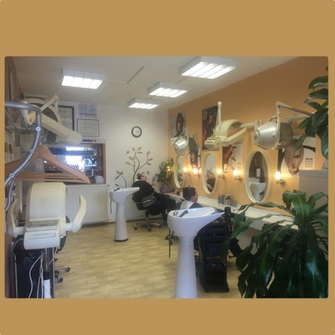 Logo des Unternehmens: Wolf Friseursalon Inh. Monika Fischer-Wolf